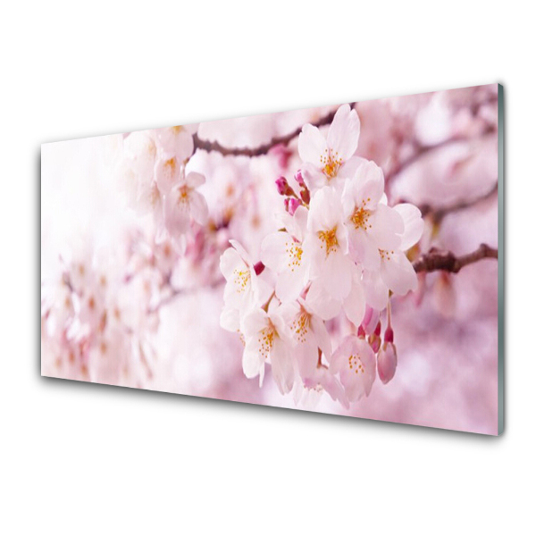 Tableau photo sur verre Fleurs de cerisier Fond rose