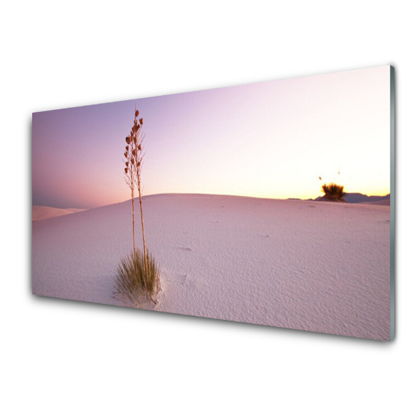 Tableau sur verre Sable dans le désert