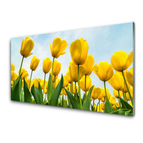 Tableau imprimé sur verre Fleurs de tulipes jaunes