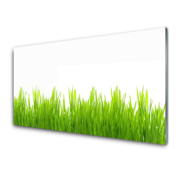 Tableau imprimé sur verre Herbe fraîche et verte