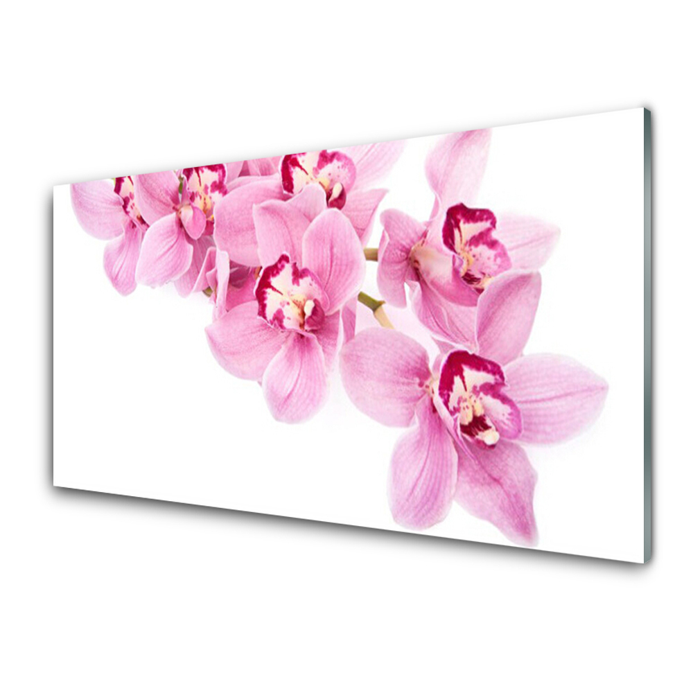 Tableau en verre Brindille de fleurs roses