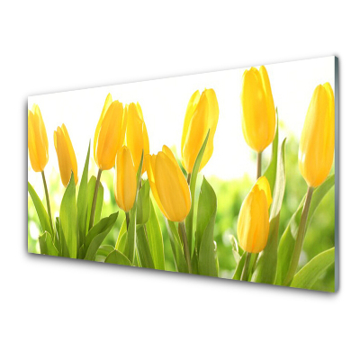 Tableau sur verre Fleur de tulipe jaune