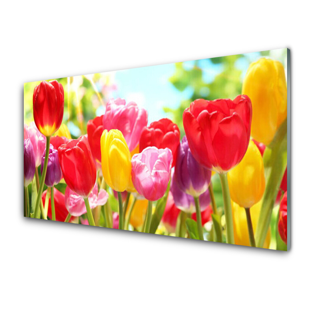 Tableau verre imprimé Tulipes multicolores