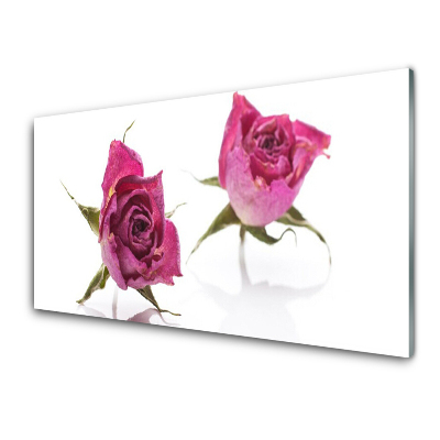 Tableau sur verre Deux roses roses