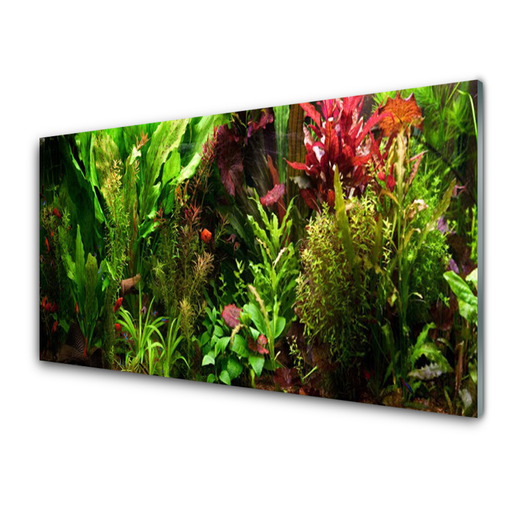 Tableau imprimé sur verre Plantes dans un aquarium