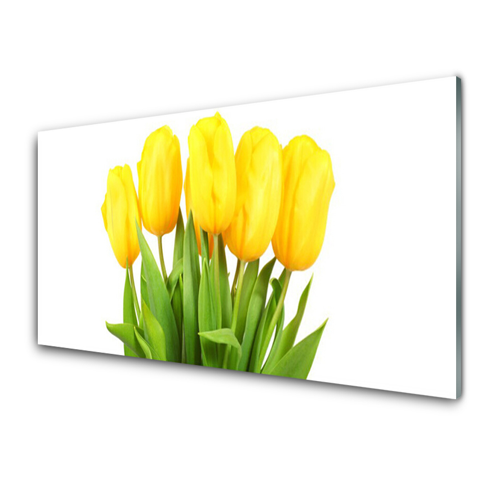 Tableau photo sur verre Plante à fleurs de tulipes
