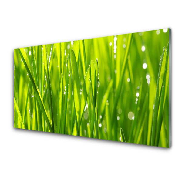 Tableau imprimé sur verre Gros plan sur de l'herbe verte avec de la rosée