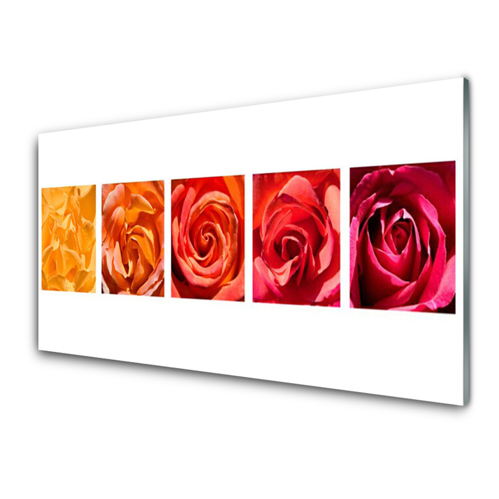 Tableau en verre Roses colorées en carrés