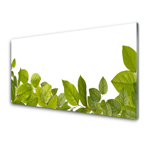 Tableau sur verre Jeunes feuilles sur fond blanc