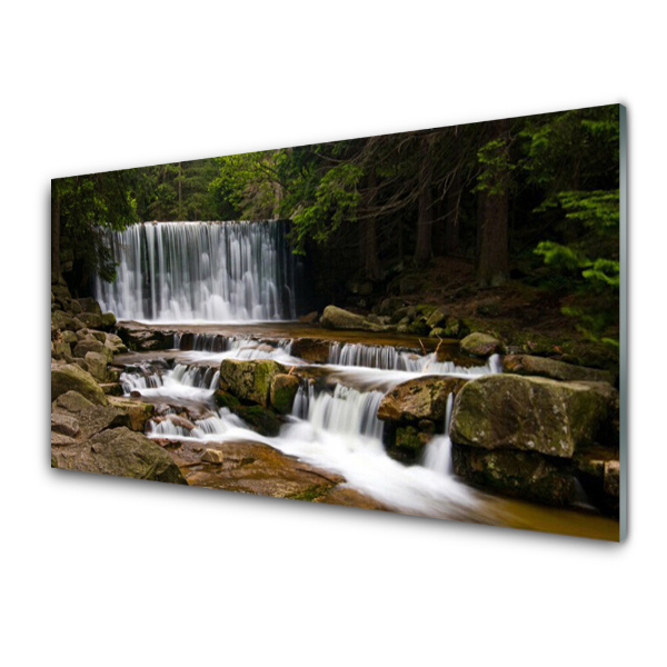 Tableau sur verre Chute d'eau dans la forêt