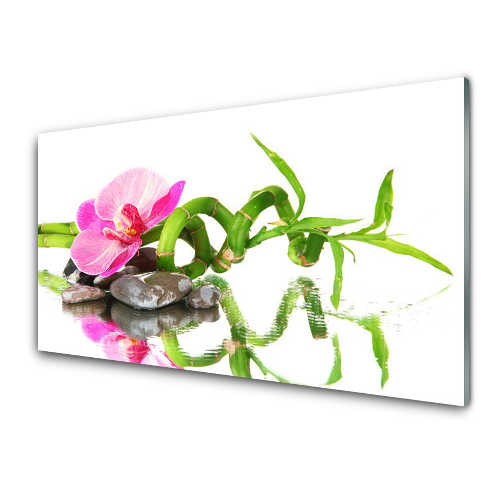 Tableau photo sur verre Pierres de fleurs de bambou