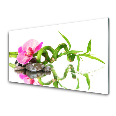Tableau photo sur verre Pierres de fleurs de bambou