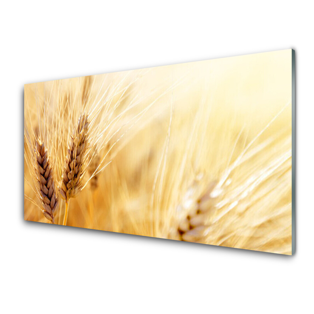 Tableau imprimé sur verre Blé Nature Gros plan