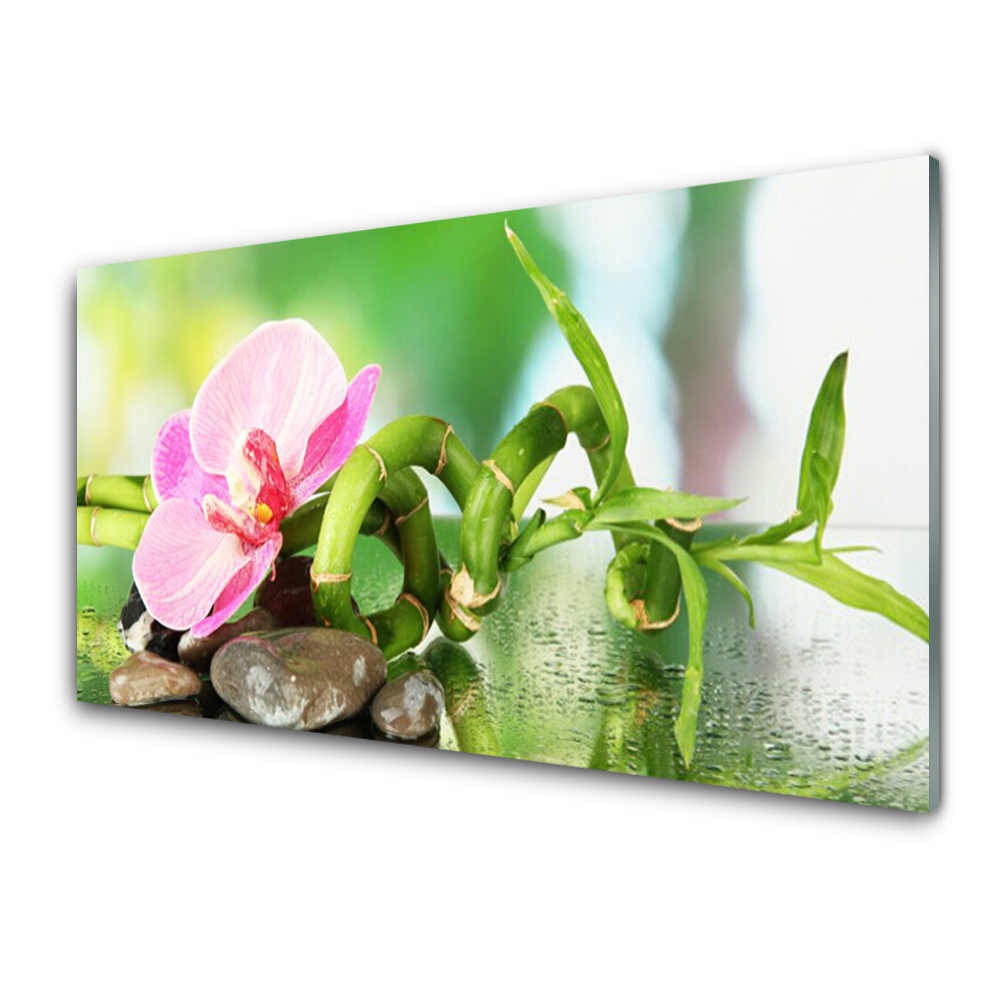 Tableau verre imprimé Tige de bambou Plante Nature