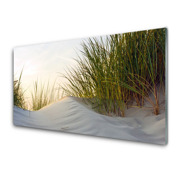 Tableau sur verre Dune de sable Herbe