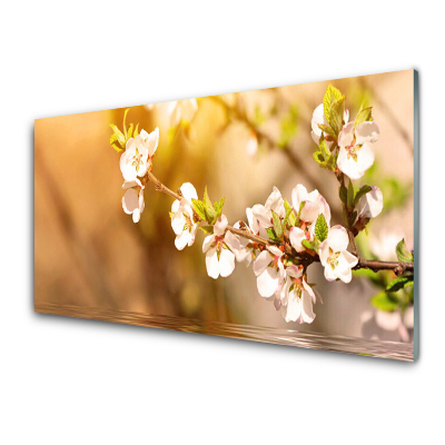 Tableau photo sur verre Cerisiers en fleurs au bord de l'eau