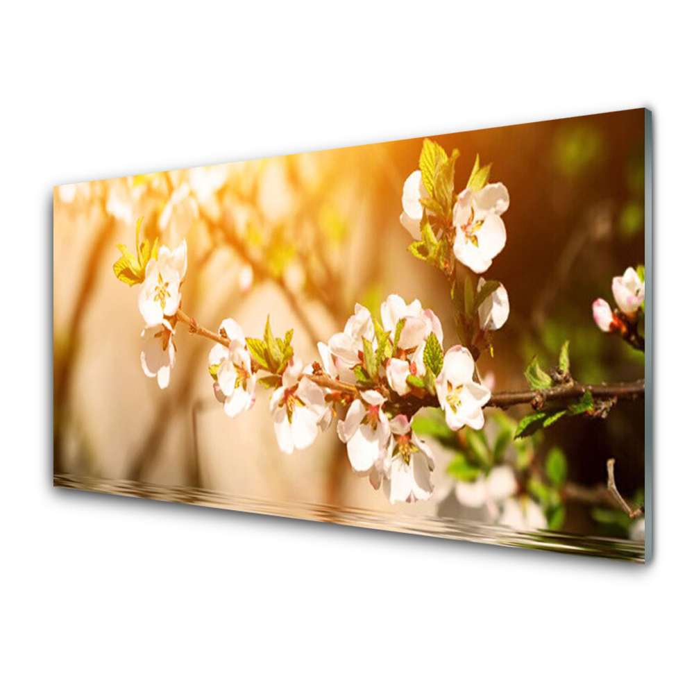 Tableau en verre Cerisiers en fleurs
