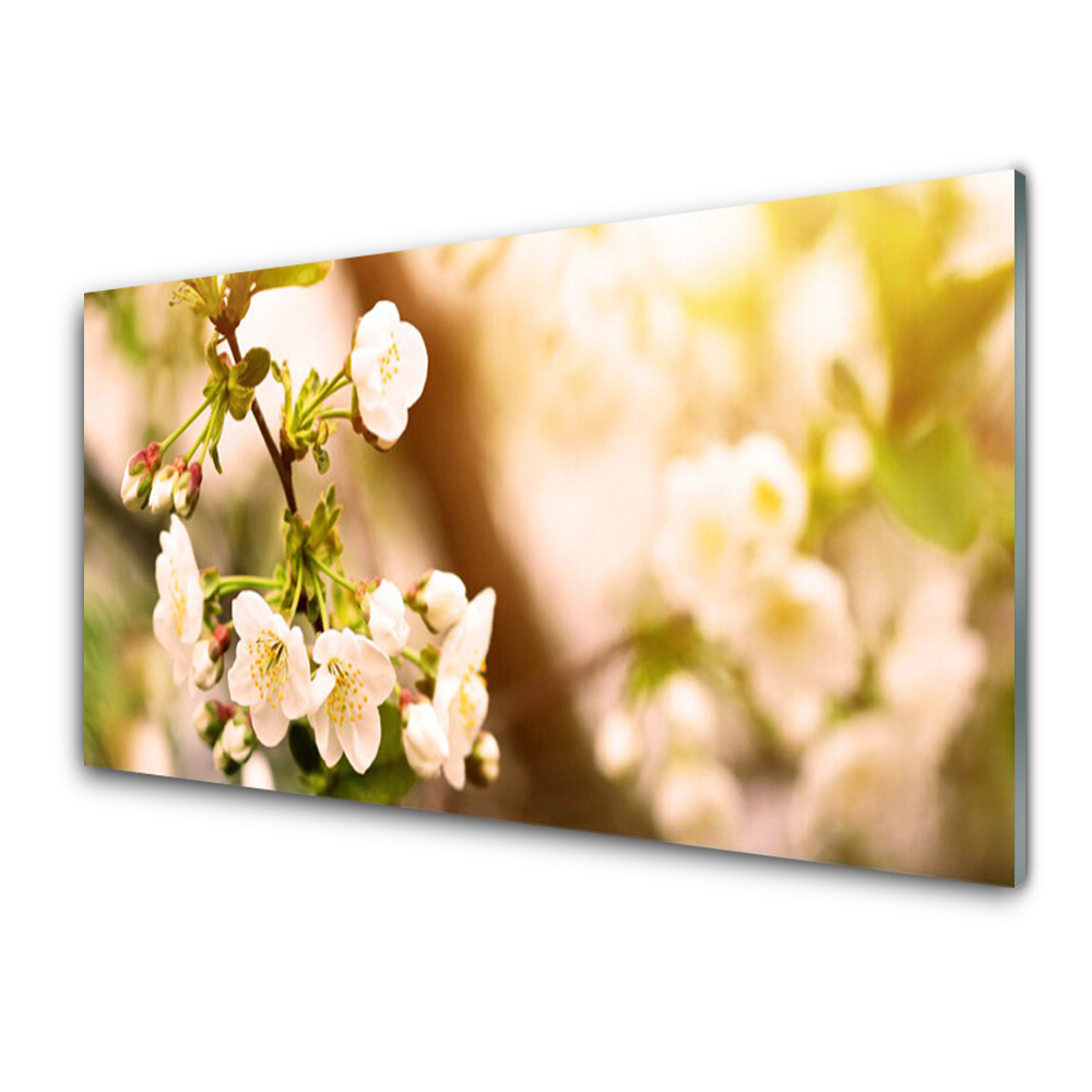 Tableau sur verre Fleurs de cerisier en gros plan