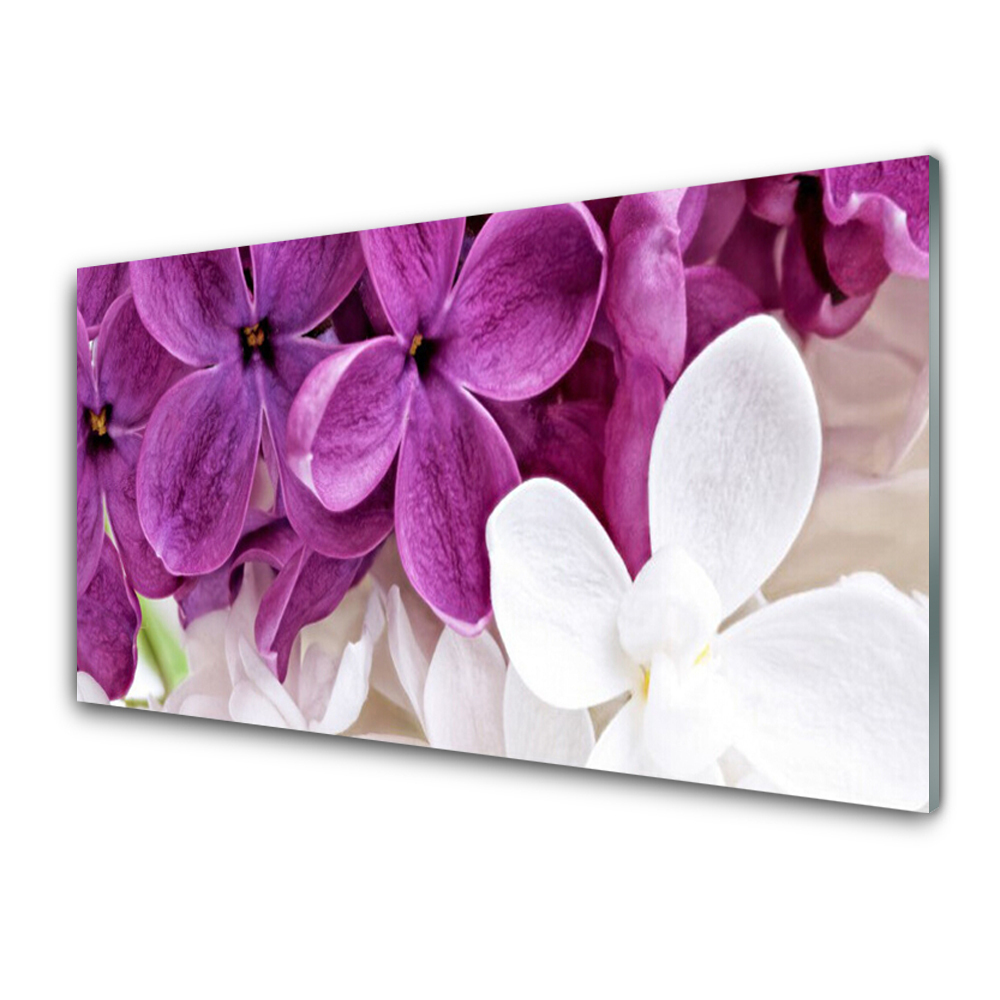 Tableau verre imprimé Gros plan sur les fleurs de lilas