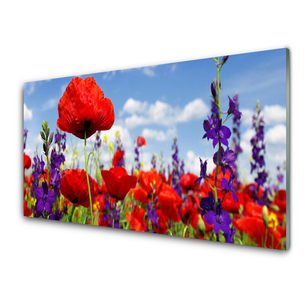 Tableau imprimé sur verre Gros plan sur une prairie et des fleurs