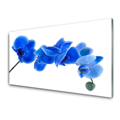 Tableau photo sur verre Fleurs d'orchidées bleues