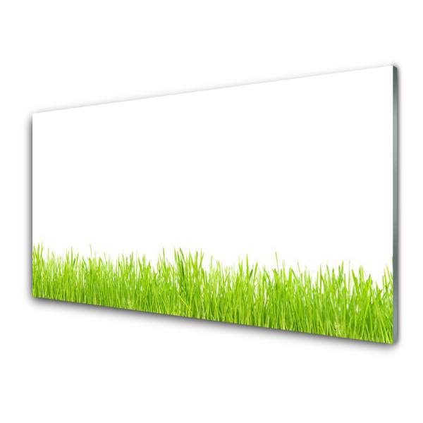 Tableau imprimé sur verre Herbe vert clair