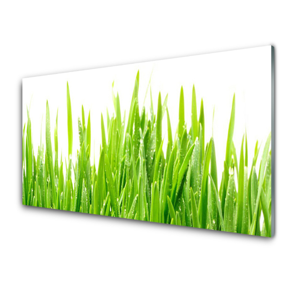 Tableau en verre Fond d'herbe haute