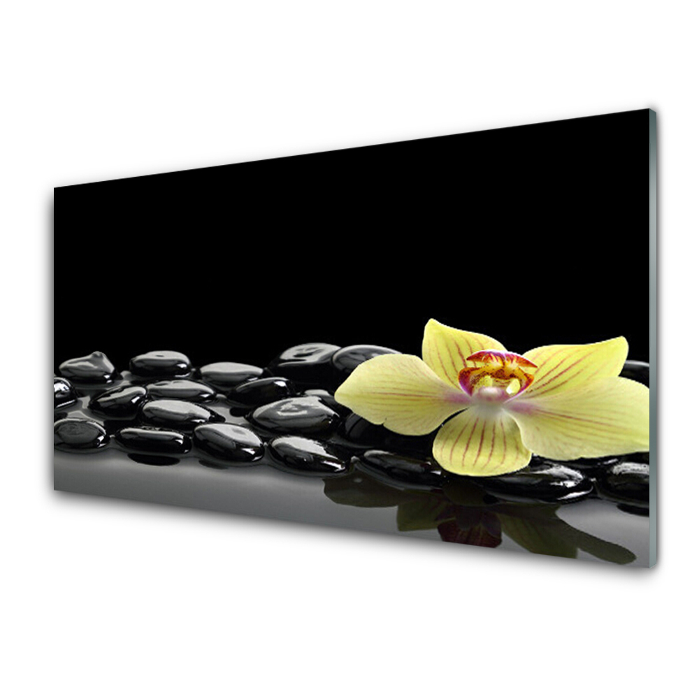 Tableau imprimé sur verre Cuisine fleurie Pierres noires