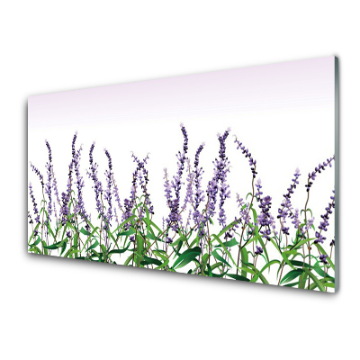 Tableau photo sur verre Fleurs Plante de la nature