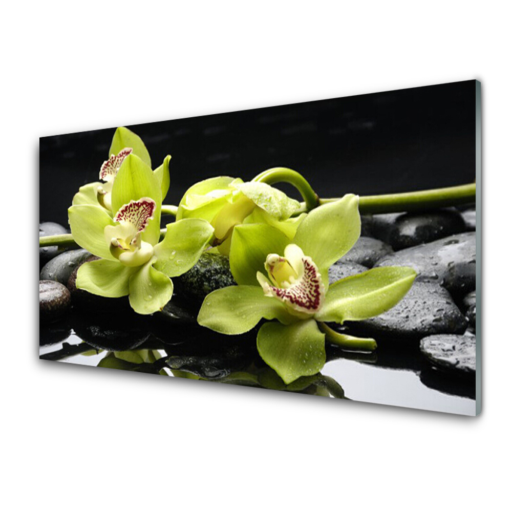 Tableau en verre Fleur Orchidée Pierres Eau