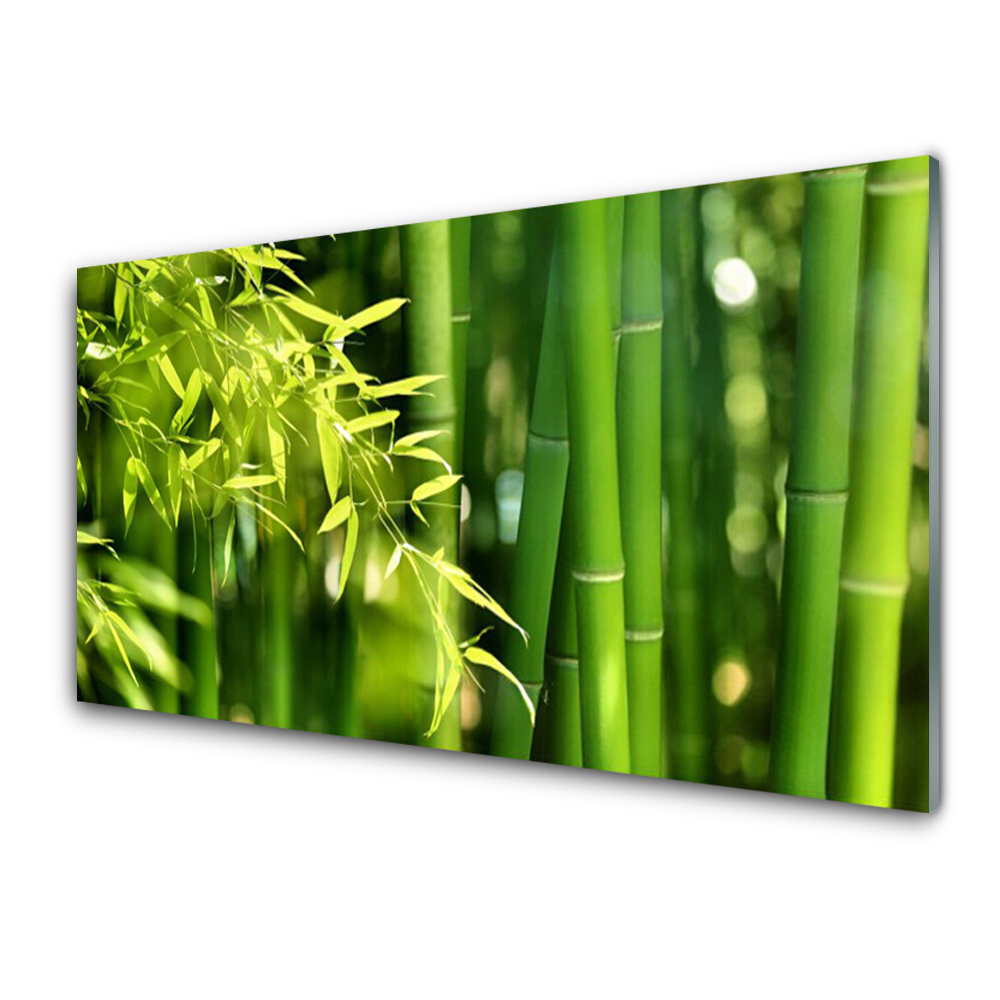 Tableau photo sur verre Tiges et feuilles de bambou vertes