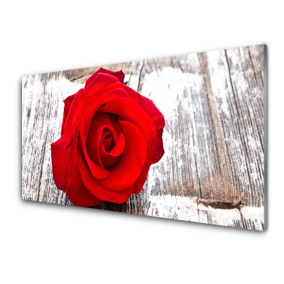 Tableau en verre Rose rouge sur planche blanche