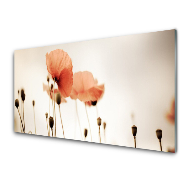 Tableau imprimé sur verre Coquelicots dans la brume