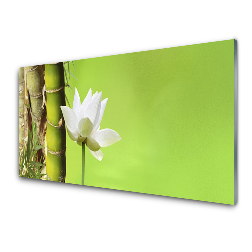 Tableau verre imprimé Tiges de bambou sur fond vert