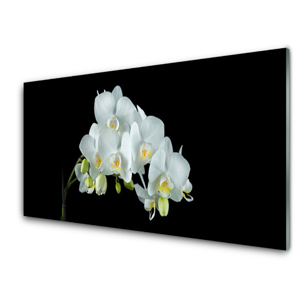 Tableau sur verre Fleurs d'orchidées blanches sur fond noir