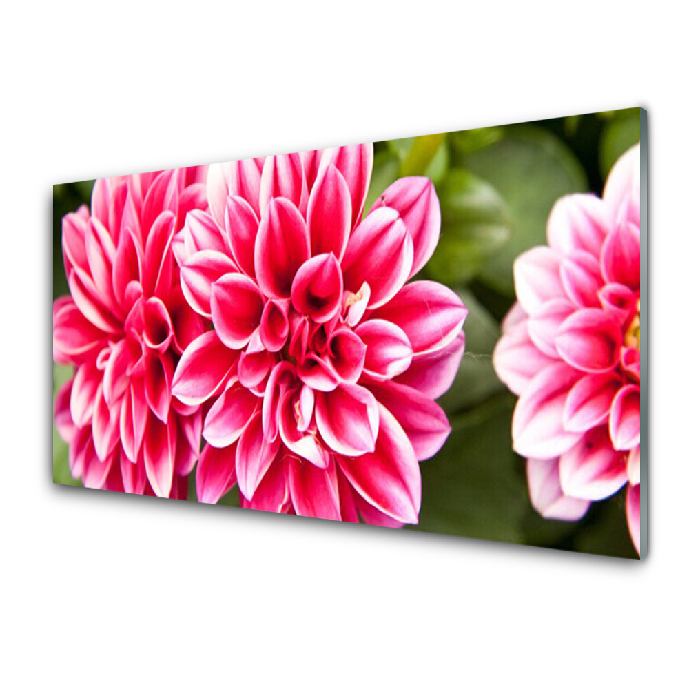 Tableau imprimé sur verre Fleurs rouges Nature