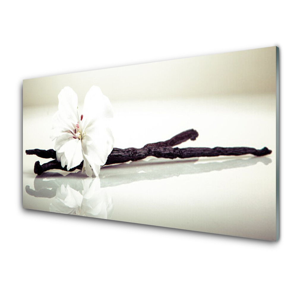 Tableau photo sur verre Bâton de vanille fond clair