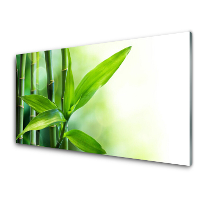 Tableau photo sur verre Feuille de bambou Plante Nature