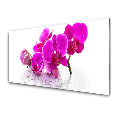 Tableau sur verre Orchidée fuchsia
