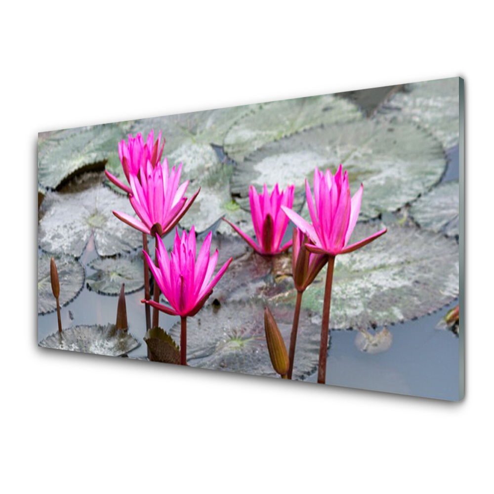 Tableau imprimé sur verre Nénuphars fuchsia