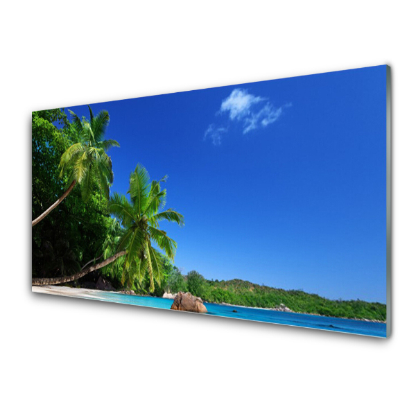 Tableau sur verre Palmiers sur la plage Paysage