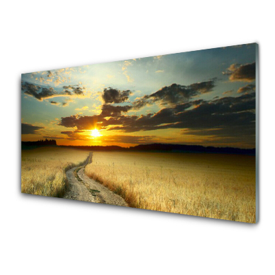 Tableau verre imprimé Chemin Champ Paysage