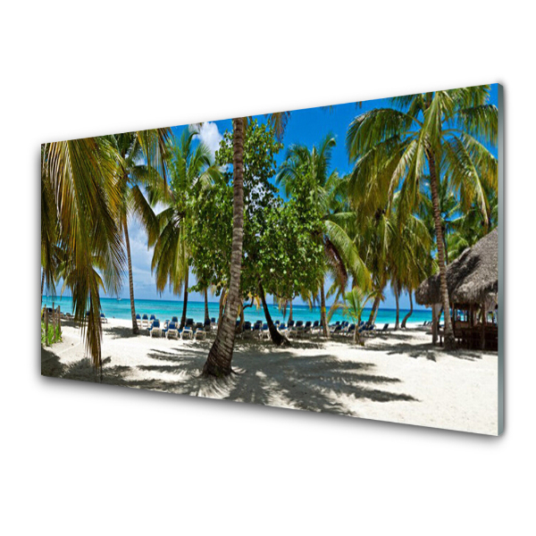 Tableau photo sur verre Paysage de palmiers sur la plage