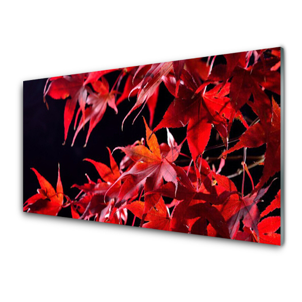 Tableau sur verre Feuilles d'automne nature