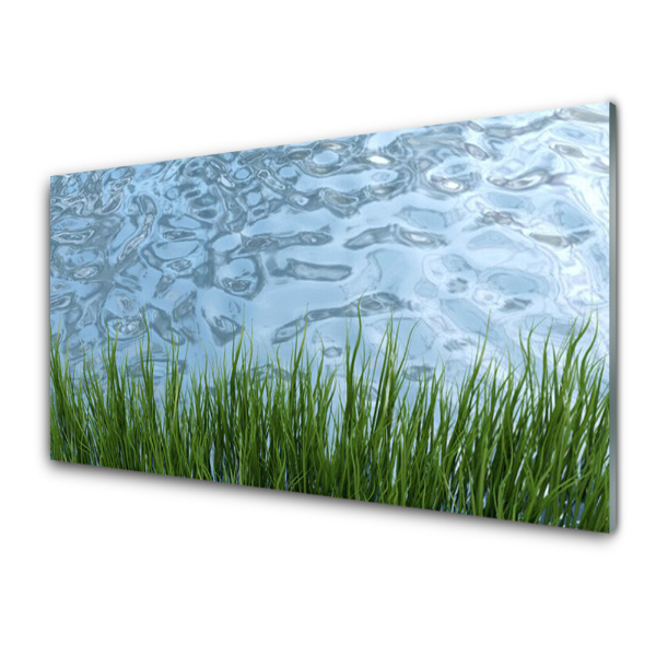 Tableau imprimé sur verre Texture de l'herbe et de l'eau