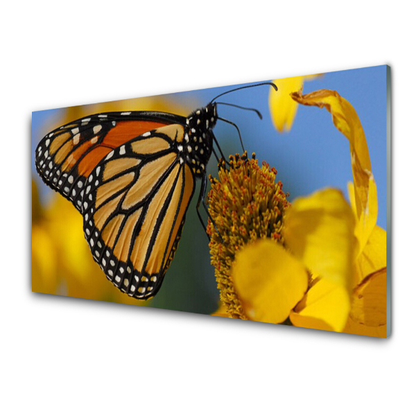 Tableau en verre Papillon jaune sur une fleur