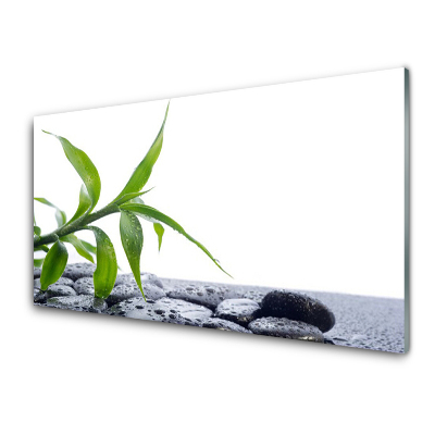 Tableau photo sur verre Pierres et feuilles vertes