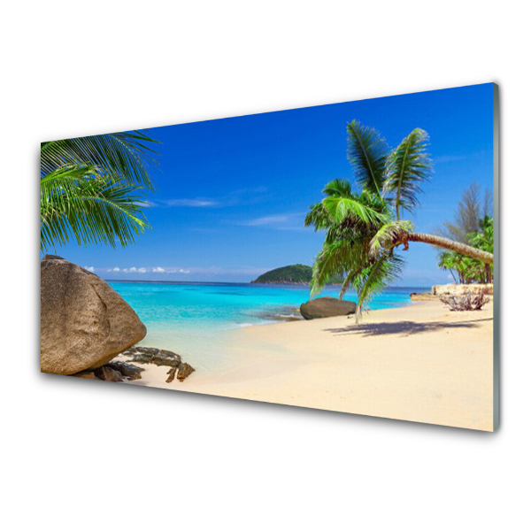 Tableau photo sur verre Belle plage de palmiers