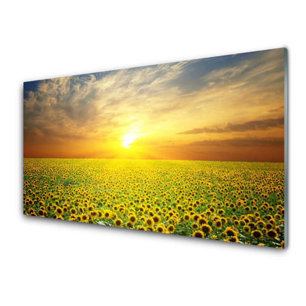 Tableau en verre Prairie de tournesols Soleil