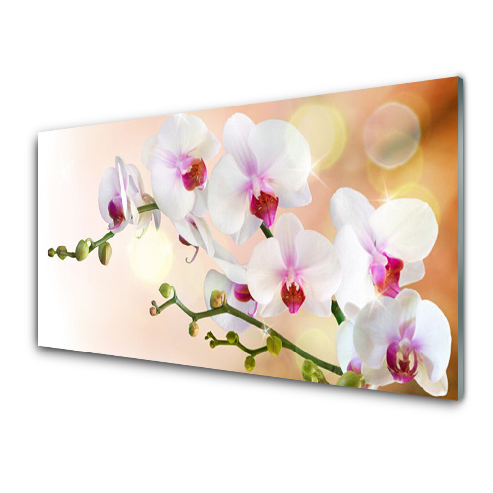 Tableau imprimé sur verre Orchidées sur fond orange